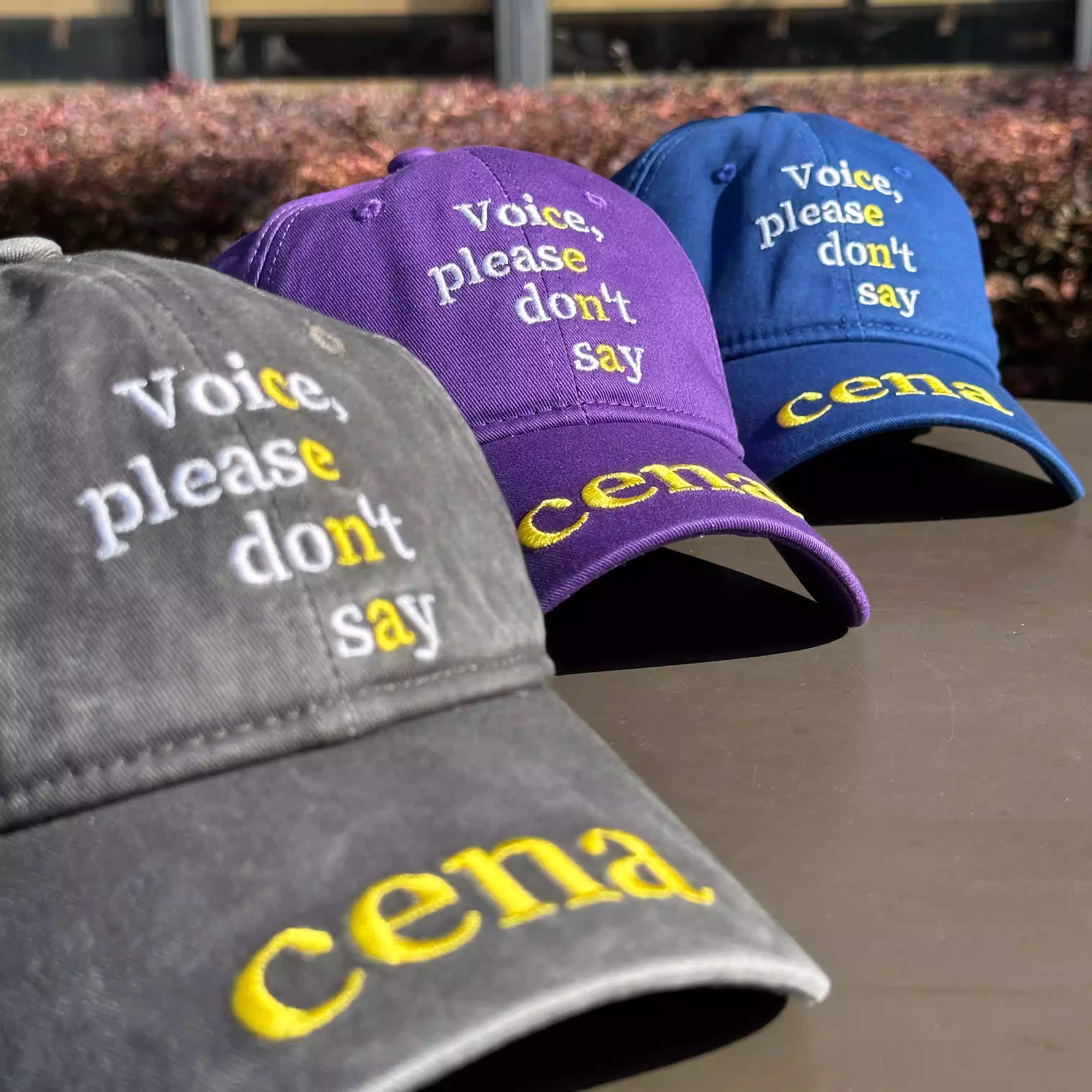 “Voice, please don’t say cena” Baseball Cap